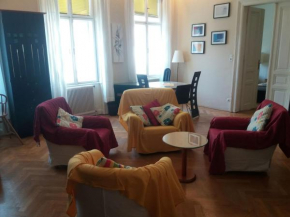 Geräumige zentrumsnahe Altbauwohnung
